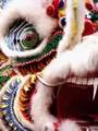Danza del Leone e del Drago: PROVA VIDEO!