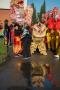 Evento capodanno cinese a Prato