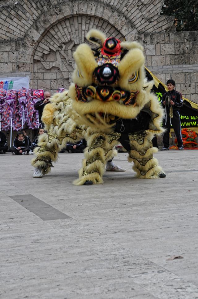 63408334_DSC_5272.jpg - Click to close this window
