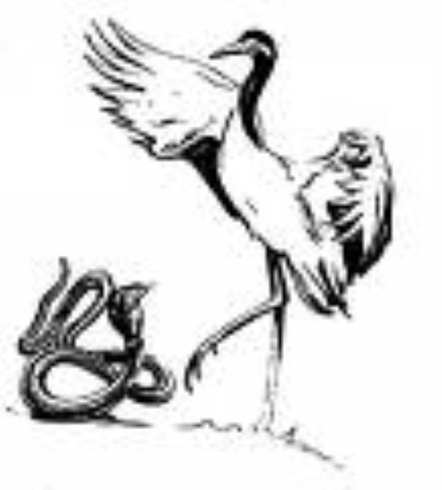 99400549_imagesCAXGYGMH.jpg - Click to close this window